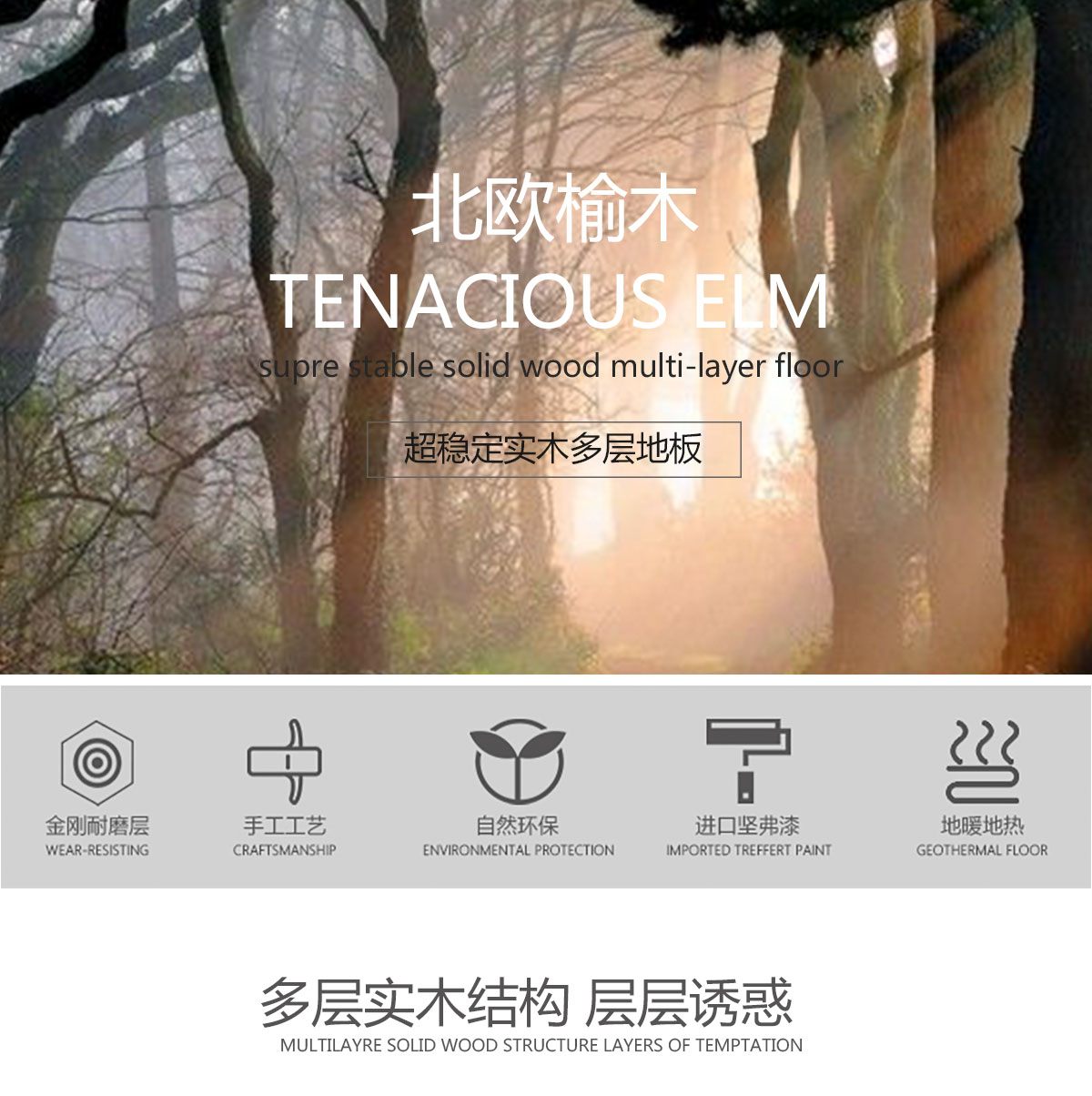 FG2012榆木（千古楓情）產品特點_01.jpg